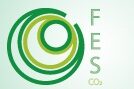 FES final