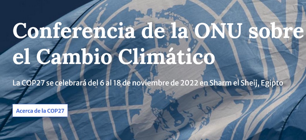 COP27