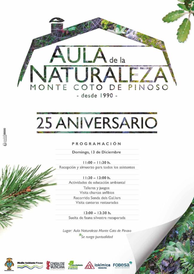 Cartel_25_Aniversario_AulaPinoso