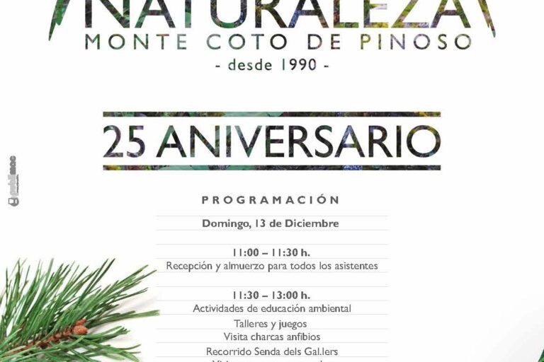 Cartel_25_Aniversario_AulaPinoso