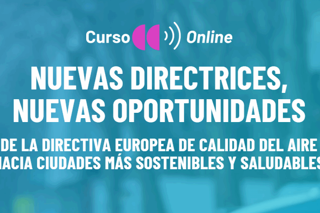 Curso20Directrices1