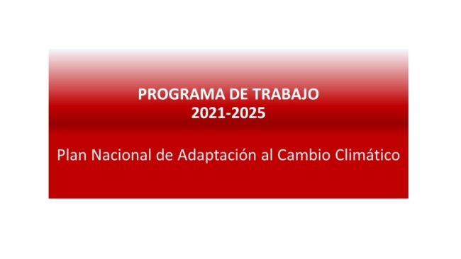 Diapositiva1