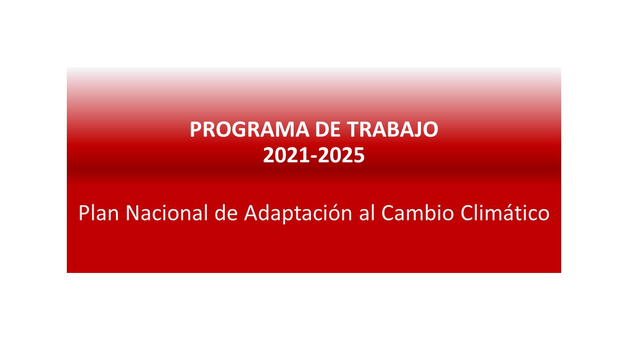 Diapositiva1