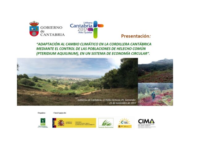 Proyecto_MMS