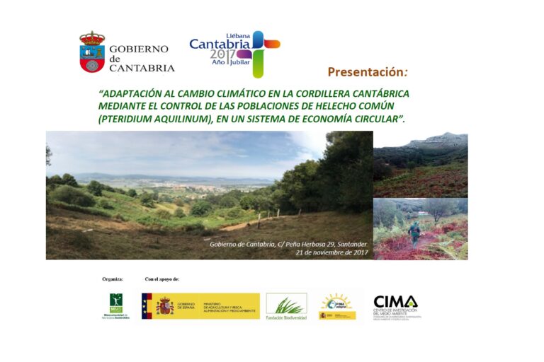 Proyecto_MMS