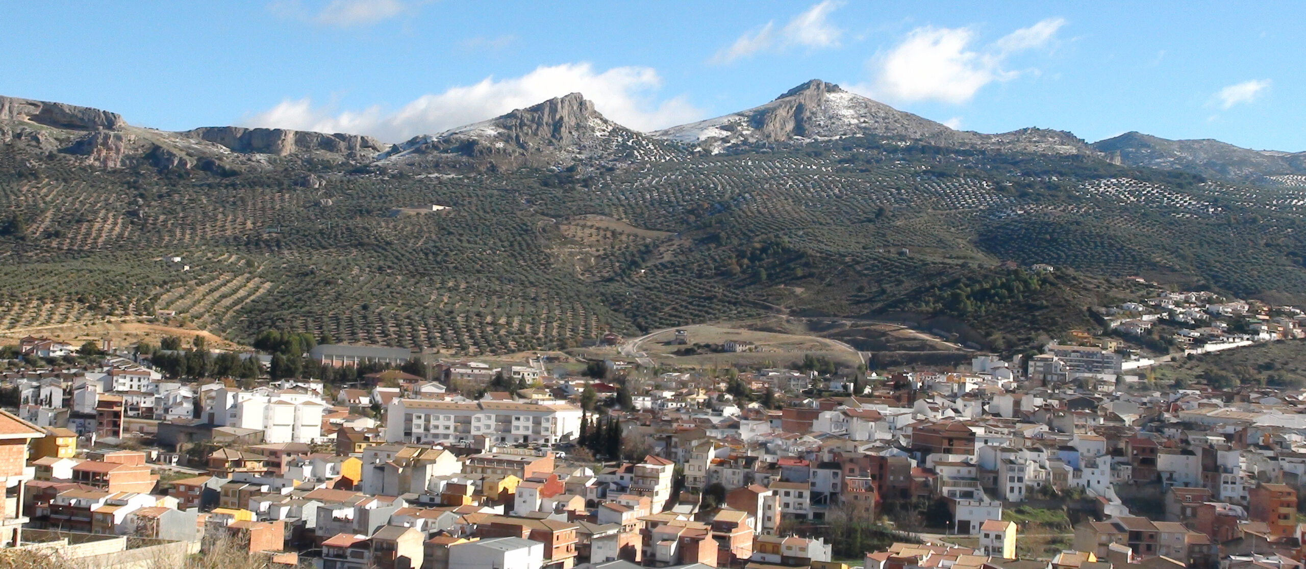 Ayuntamiento de Villares (Los)
