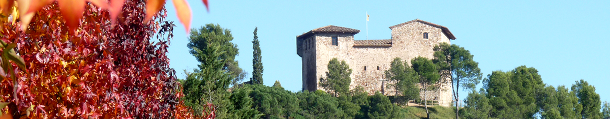 Ayuntamiento de Palau-Solità i Plegamans