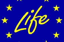 d3b7d51bbec88027a897470b474f73e9