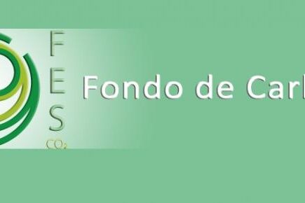 fes_co2_fondos_de_carbono