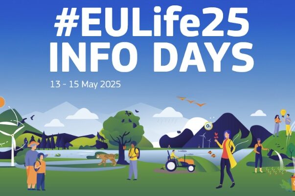 INFO DAYS
