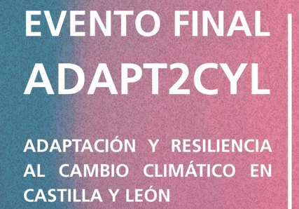 rc-1347-portada